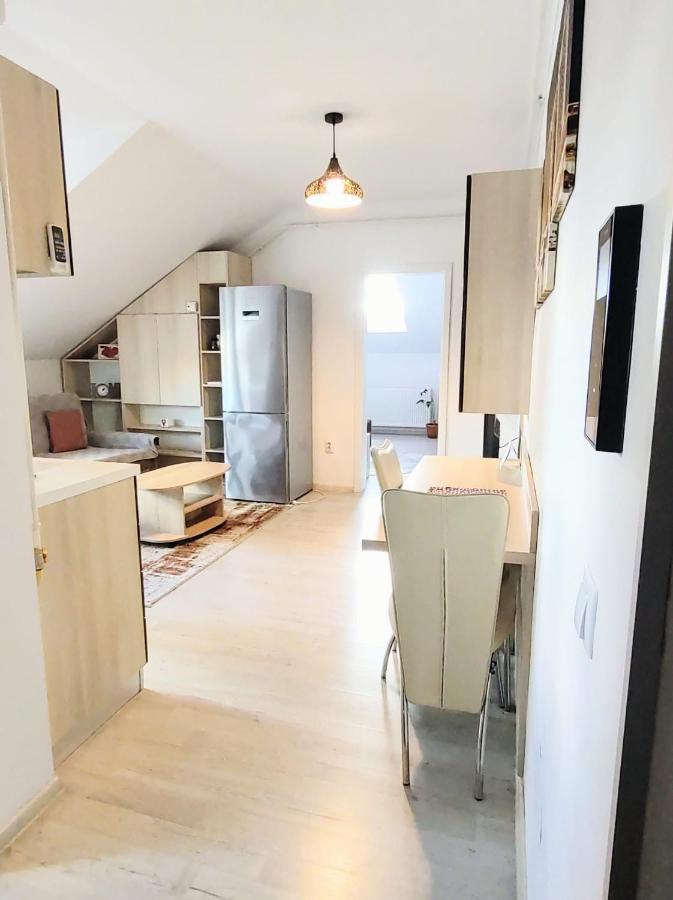 Simona Apartament Palas Mall Iasi Exteriér fotografie