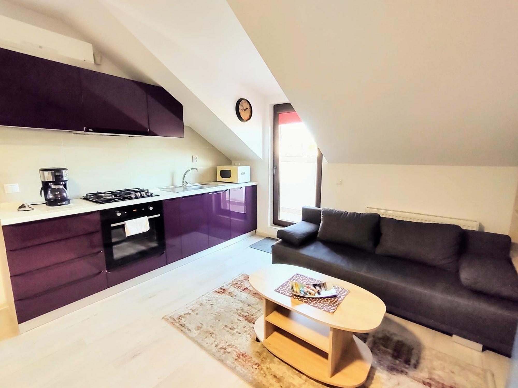 Simona Apartament Palas Mall Iasi Exteriér fotografie