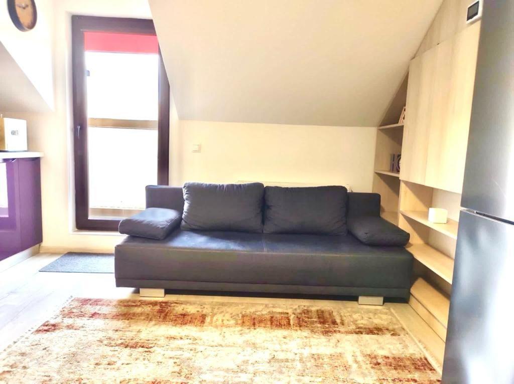 Simona Apartament Palas Mall Iasi Exteriér fotografie